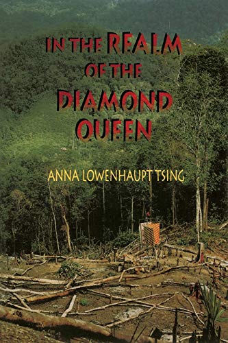 In the Realm of the Diamond Queen: Marginality in an Out-of-the-Way Place von Princeton University Press